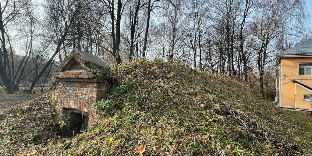 Подводное «кладбище» животных обнаружилось в пруду на окраине Москвы