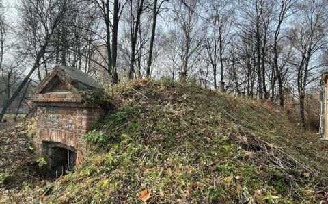 Подводное «кладбище» животных обнаружилось в пруду на окраине Москвы