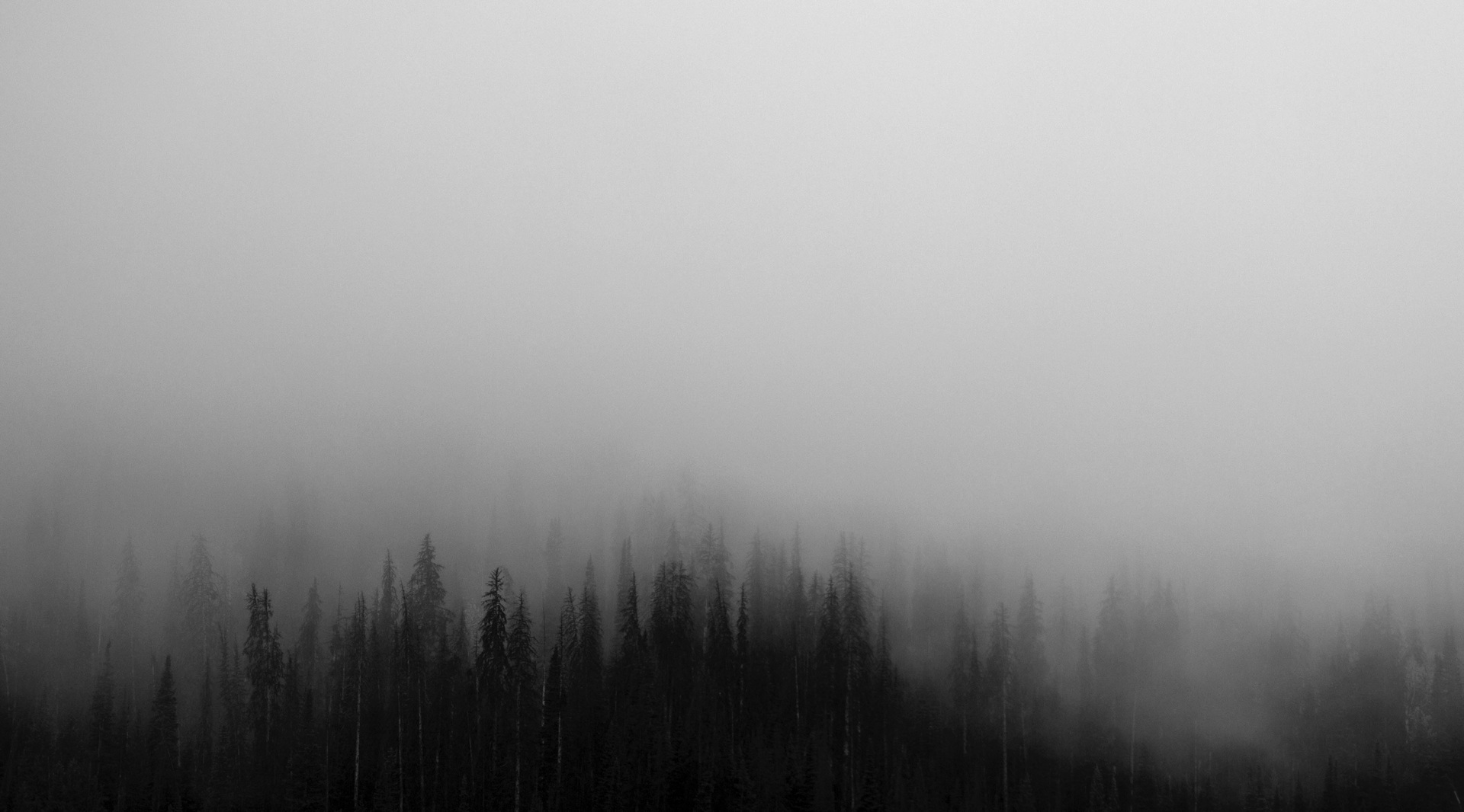 Густой туман затрудняет поиски пропавшего с радаров в Якутии «кукурузника»