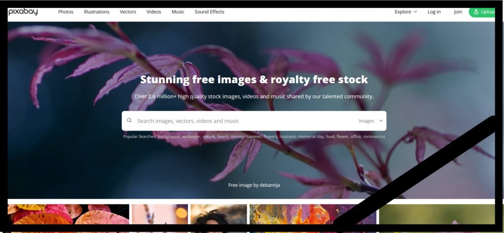 Фотобанки Pixabay и Pexeles решили закрыться от россиян