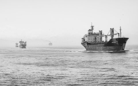 Турецкие и сирийские суда оказались заблокированы в Херсонском порту
