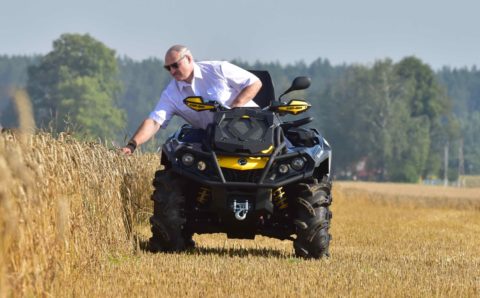 Украинское зерно может попасть в Европу через Беларусь