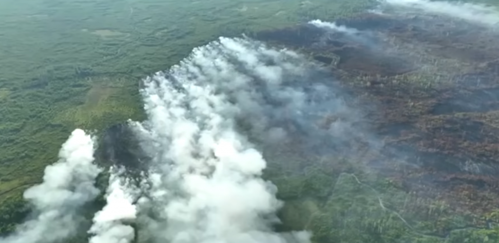 Дым пожаров Рязанской области добрался до столицы. Рослесхоз винит власти региона