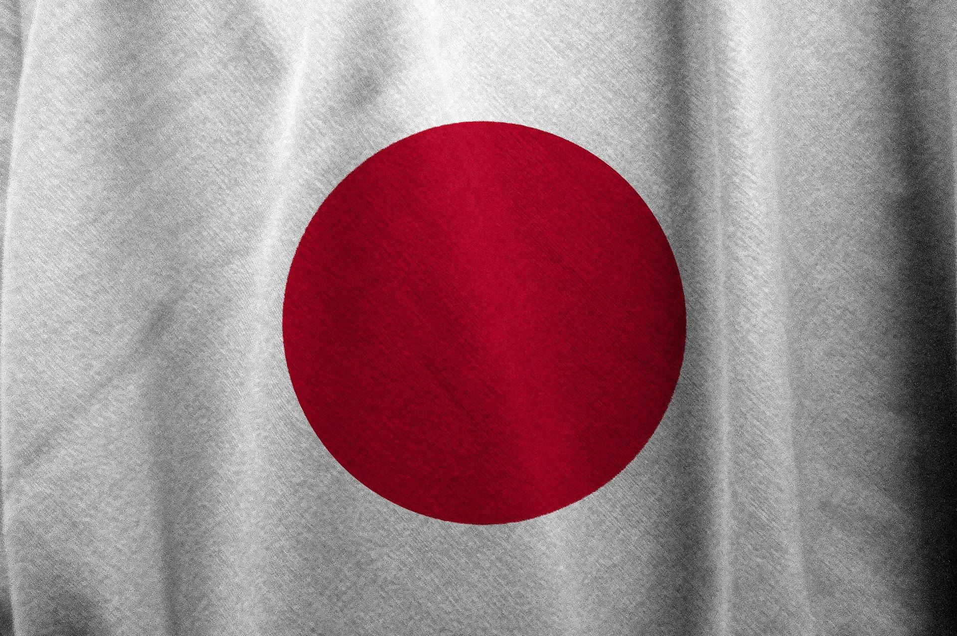 Правительство Японии в полном составе подало в отставку на экстренном заседании