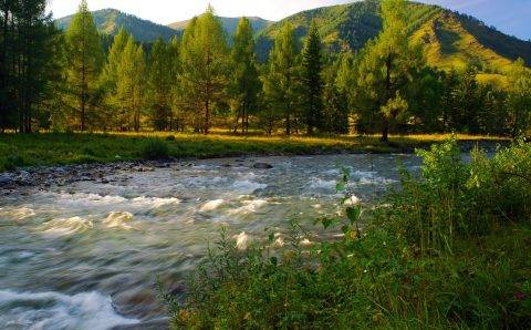 Сбербанк: Республика Алтай нарастила турпоток на 9%