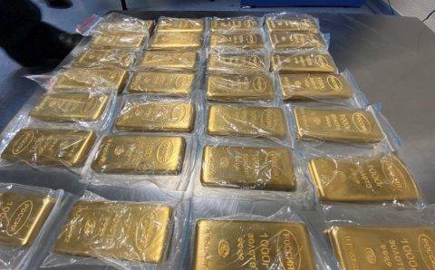 Таможенники во Внуково задержали контрабандистов с 225 кг золота в ручной клади