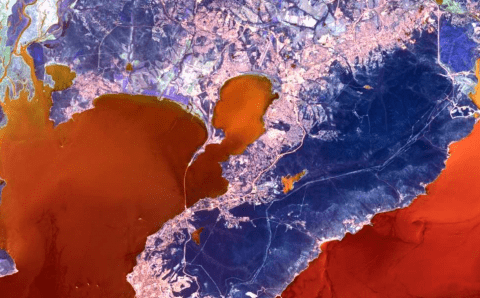 Российский спутник сфотографировал красный прилив у берегов Приморья