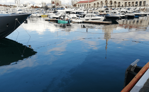 Началось расследование загрязнения Чёрного моря нефтепродуктами в Сочи