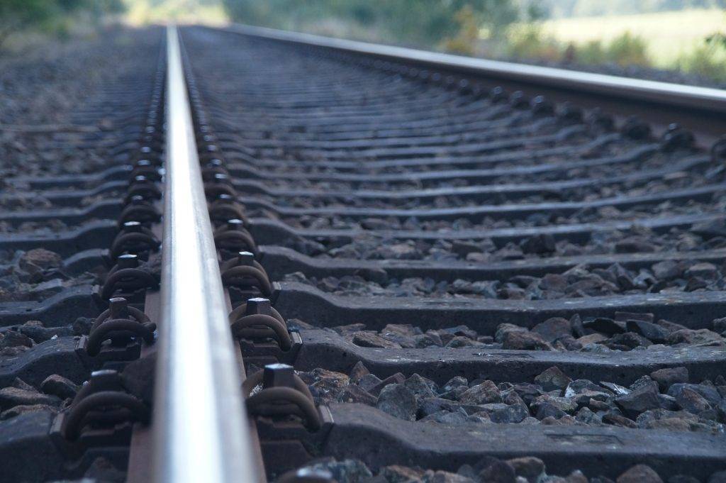 Поезд для перевозки лошадей возобновил железнодорожное сообщение между РФ и КНДР