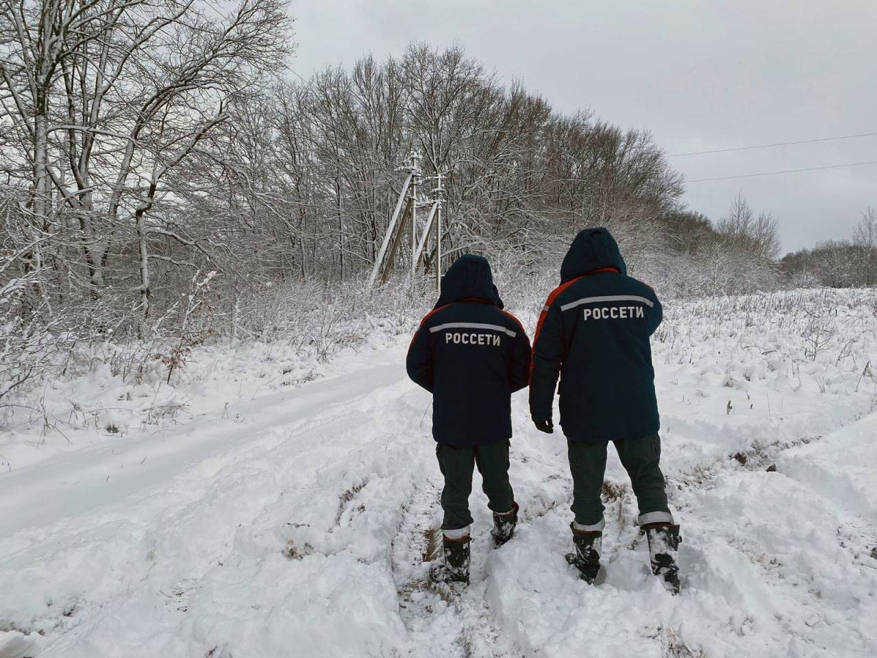Около 18 тысяч жителей Курской области остались без электричества из-за снега