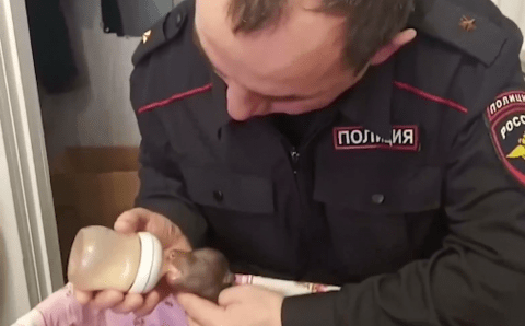 Полицейские в Коми спасли трёх медвежат из повреждённой берлоги