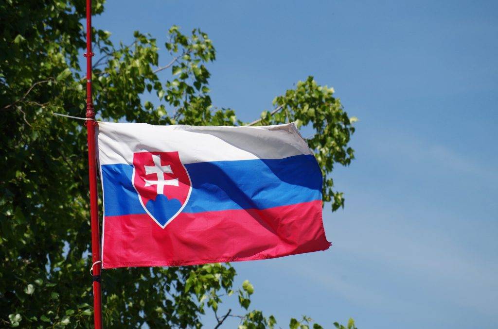 Словакия провела референдум о внесении изменений в Конституцию, но его не признали