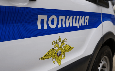 Полиция Свердловской области ищет в лесу телефон погибшей девятиклассницы