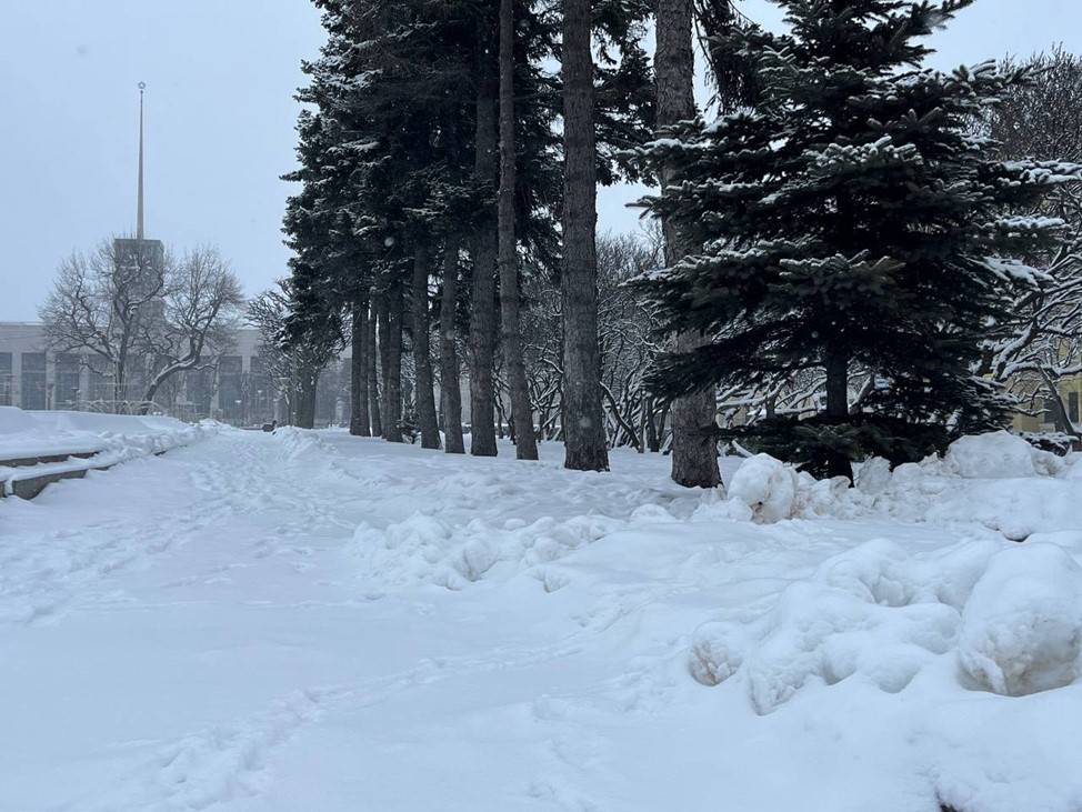«Шутка природы» в виде снегопадов 1 апреля поставила дорожные службы Петербурга в тупик