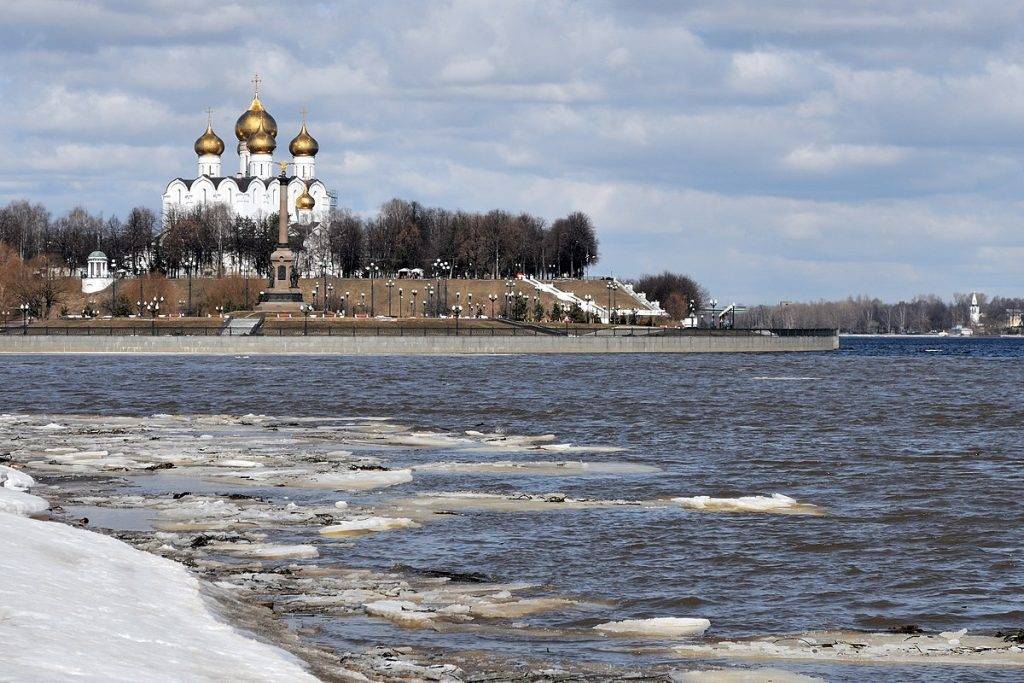 Опекуны в Ярославской области не смогут получить льготы из-за отказа властей приравнять их к родителям