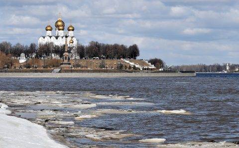 Опекуны в Ярославской области не смогут получить льготы из-за отказа властей приравнять их к родителям