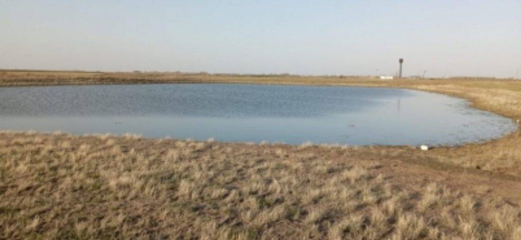 Тело шестилетнего мальчика выловили из котлована в Омской области