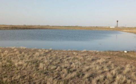 Тело шестилетнего мальчика выловили из котлована в Омской области