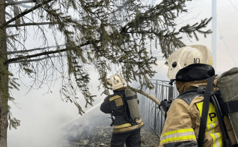 МЧС: Девять домов и крыша магазина горят в Забайкальском городе Борзя