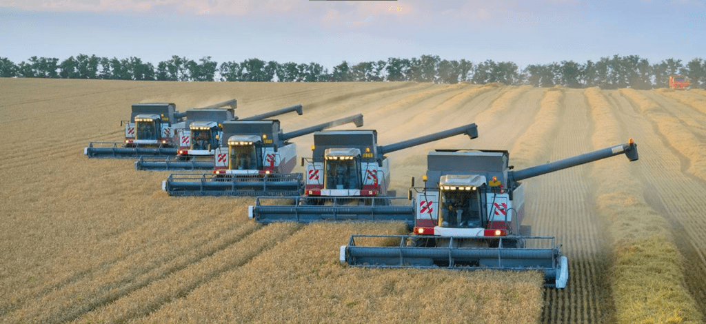 Производители зерна в России получат 10 миллиардов на компенсацию производства