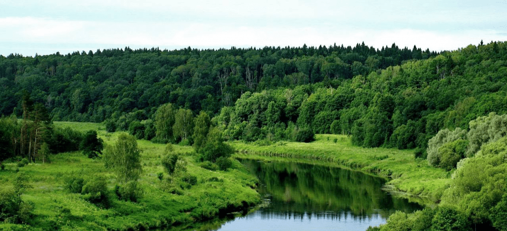 Правительство России утвердило создание национального парка площадью в шесть тысяч гектаров в Тульской области
