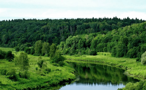 Правительство России утвердило создание национального парка площадью в шесть тысяч гектаров в Тульской области