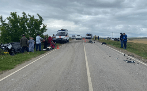 Четыре человека погибли и четыре ребёнка пострадали в ДТП на трассе Береговое — Бахчисарай в Крыму