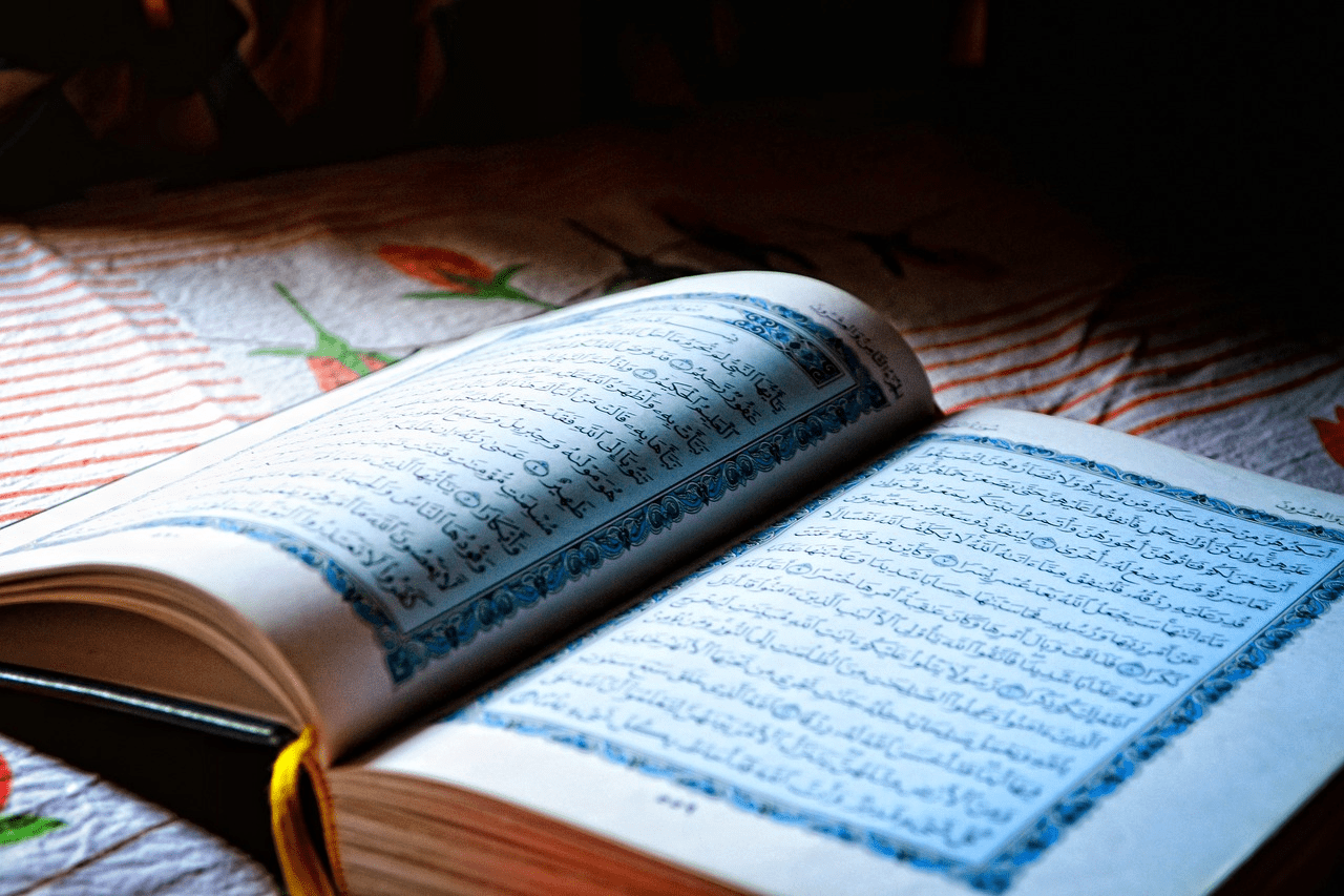 В Дании одобрили тюремное заключение до двух лет за сожжение Корана