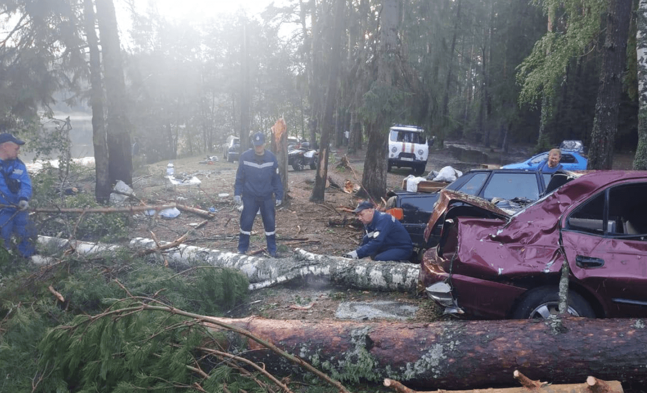 Мощный ветер повалил полтысячи деревьев в Приволжье, погибли девять человек