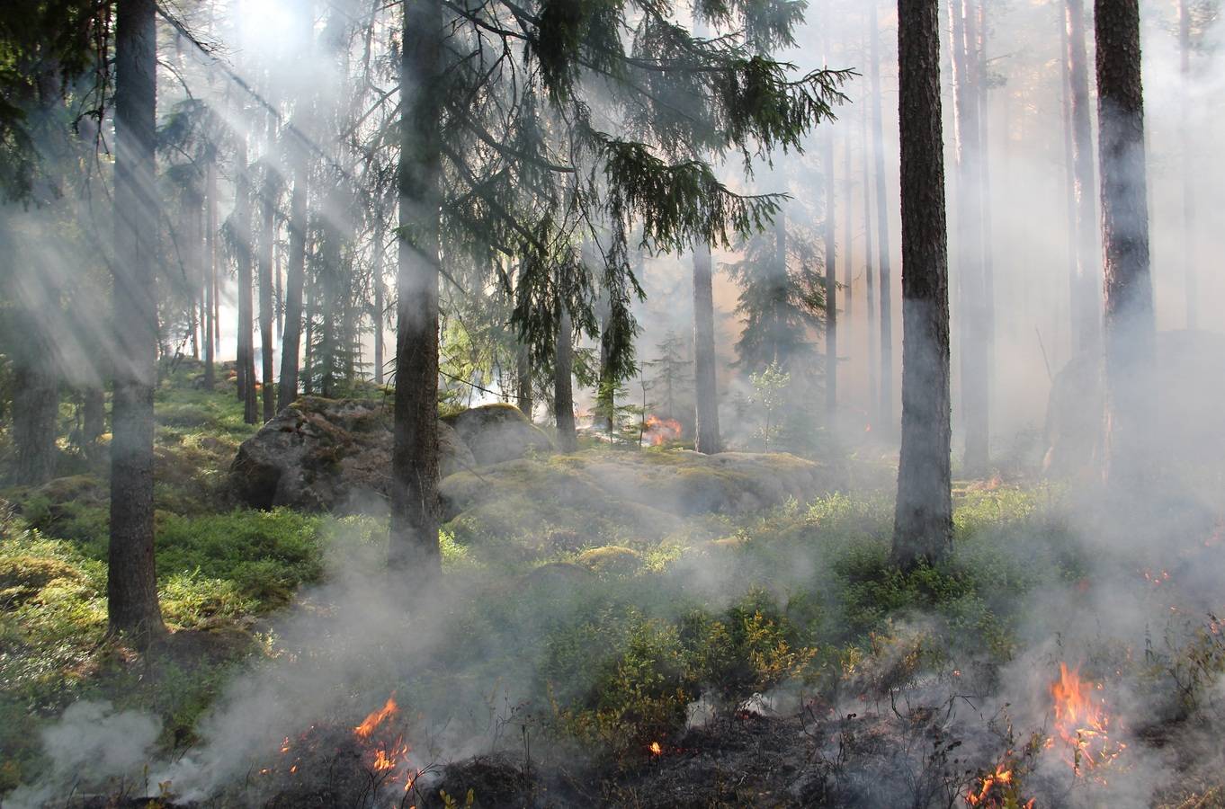 МВД Турции: пролив Дарданеллы временно закрыт из-за масштабных лесных пожаров