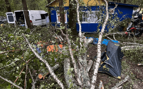 Снесённые ураганом деревья задавили двух человек на слëте байкеров под Тарусой