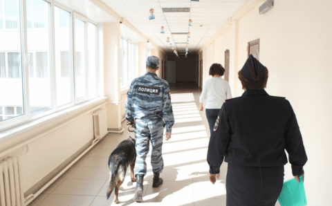 Действия при форс-мажоре отработают в школах РФ в конце августа