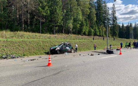 В ДТП на трассе «Скандинавия» погибло 2 детей-велосипедистов, еще 6 ранено