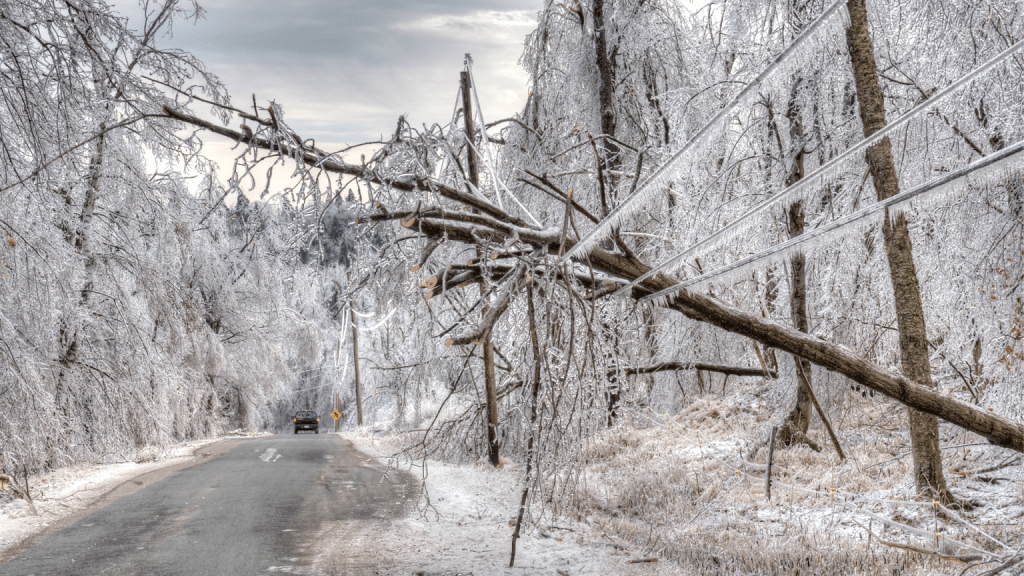 Шторм «Варпу» принес в Финляндию первый снег и обесточил почти 44 тысячи домов