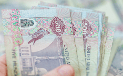 Первый фальшивый дирхам ОАЭ попали в руки специалистов Банка России