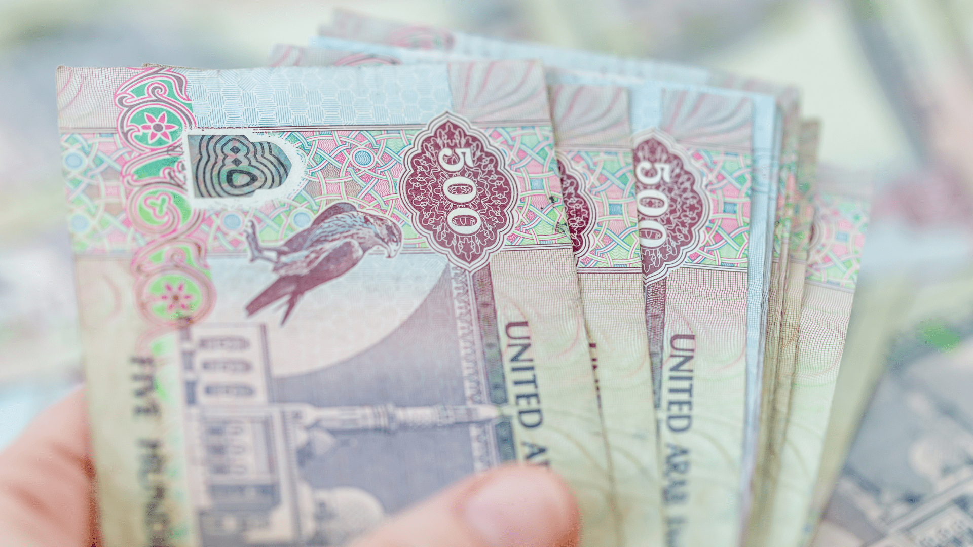 Первый фальшивый дирхам ОАЭ попали в руки специалистов Банка России