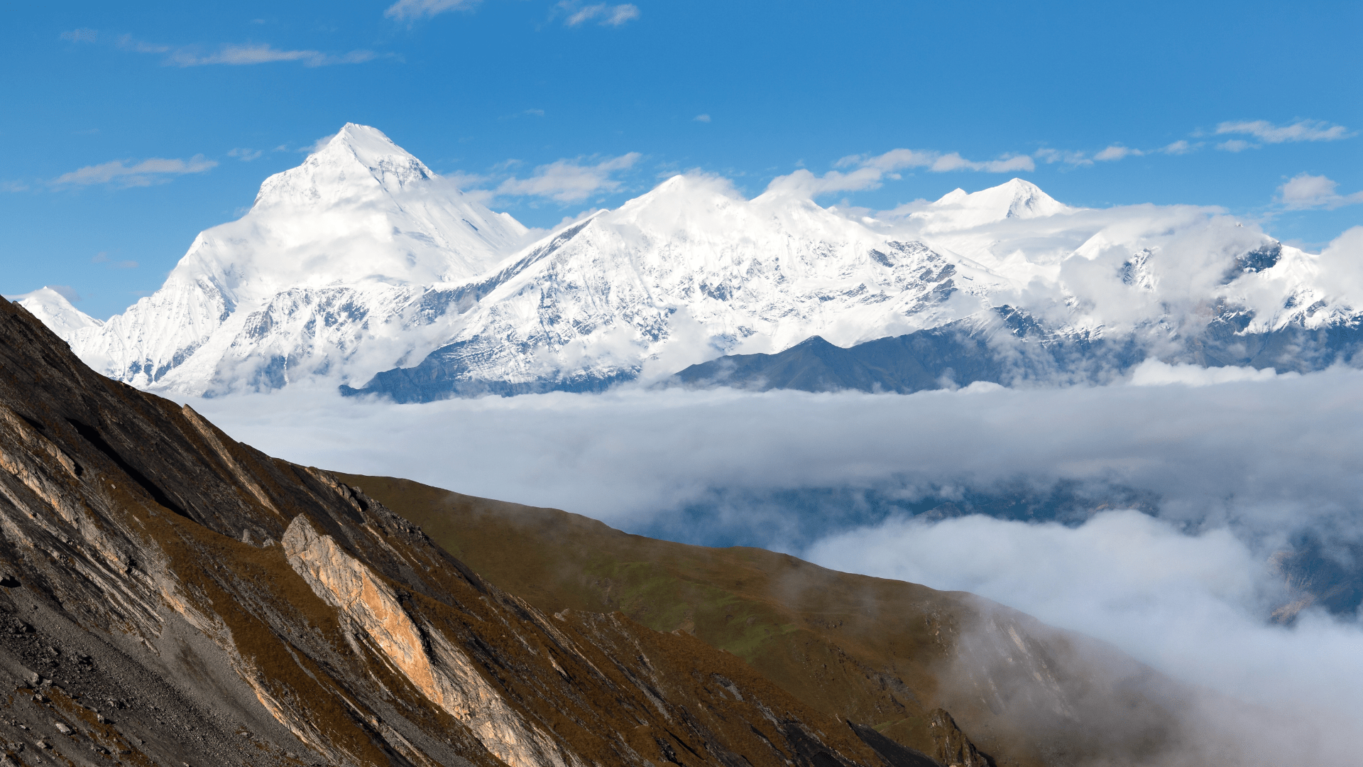 В Непале обнаружили тело сорвавшейся в расщелину российской альпинистки Оленевой