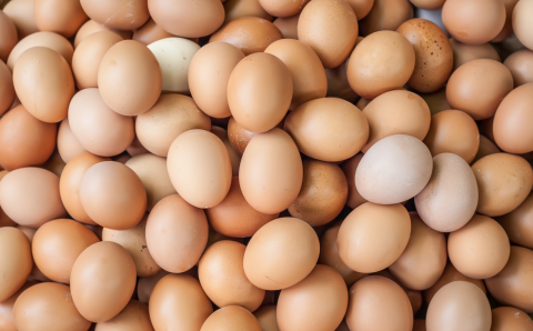 Азербайджан экспортировал в Россию вторую партию куриных яиц