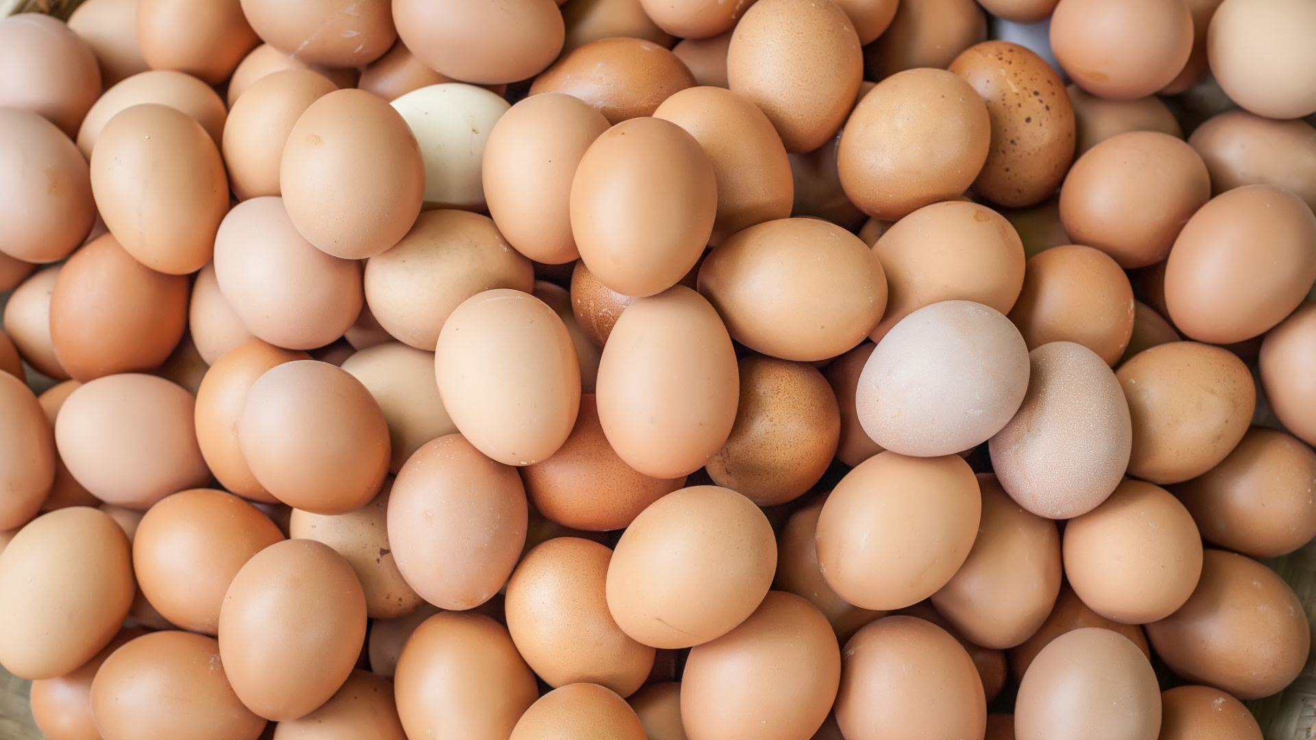 «Руспродсоюз» среднюю стоимость яиц — не более 129 рублей за десяток