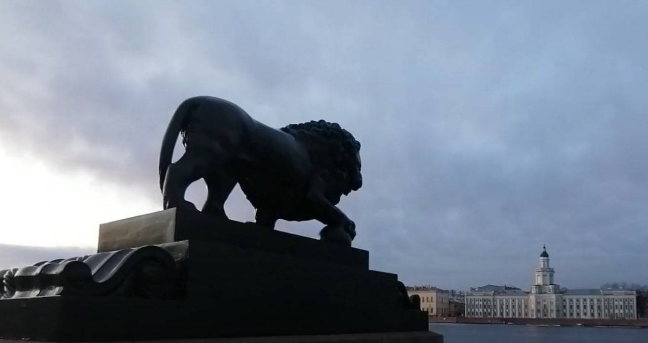 Поврежденные вандалами скульптуры львов в Петербурге забрали на ремонт