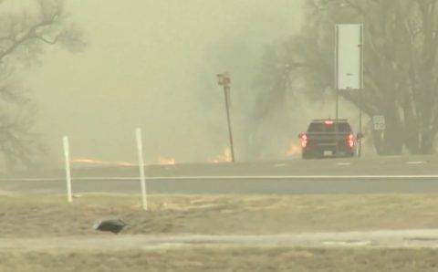 Из-за «разрушительных» лесных пожаров в 60 округах Техаса объявили режим ЧП