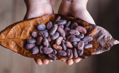 Аномальная жара в Кот-д’Ивуаре обновила исторический максимум цен на какао-бобы