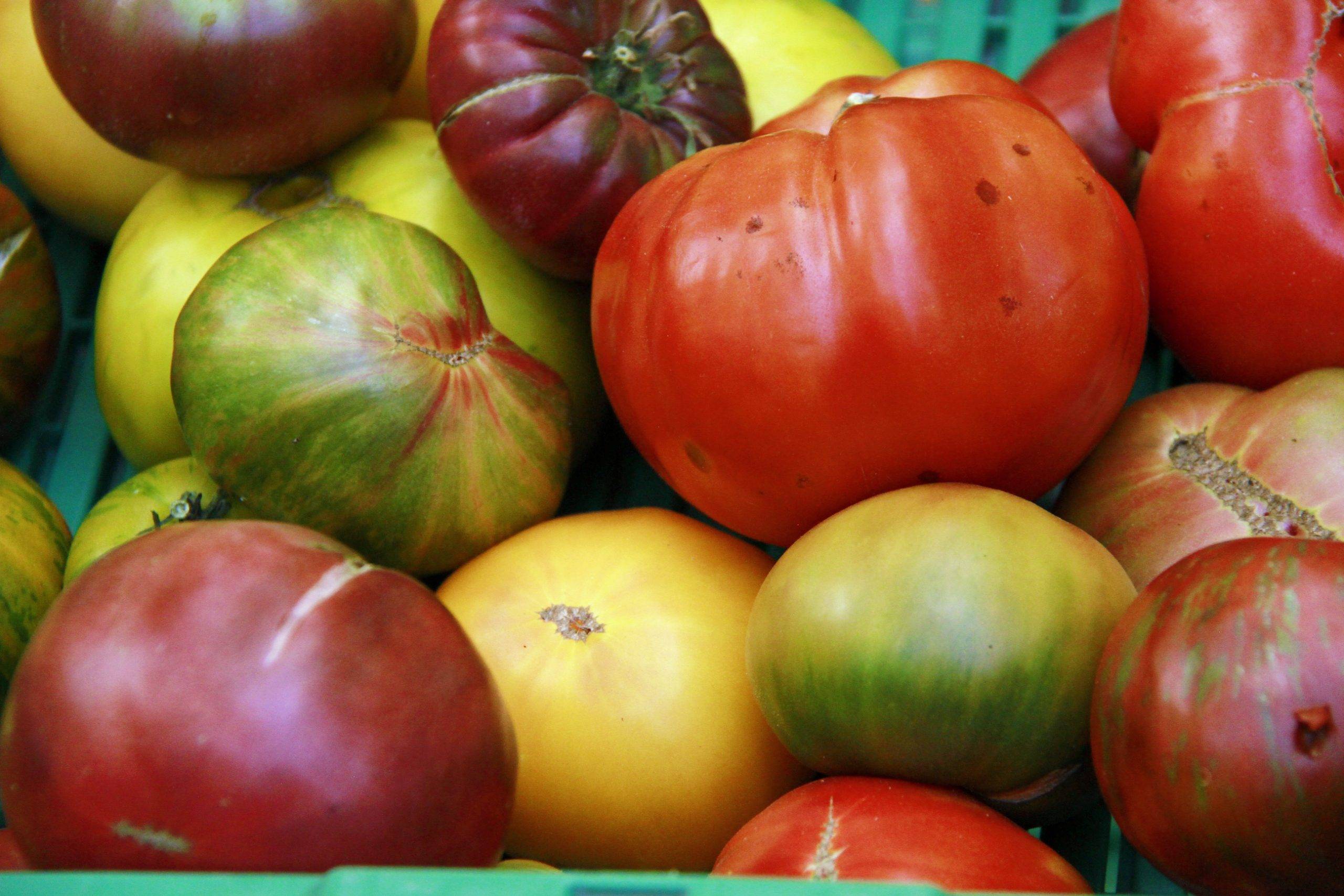 В России обнулили таможенные пошлины на ввоз помидоров