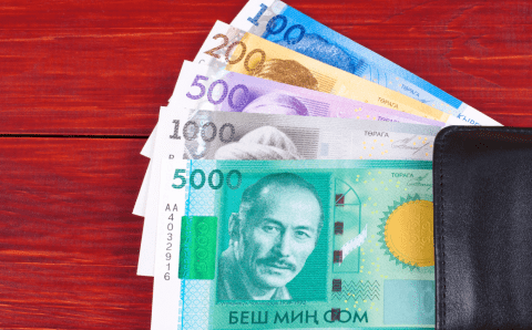 ЕС намерен развить собственную экономику за счет стран Центральной Азии