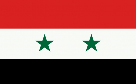 В Сирии с 1 мая введены электронные визы