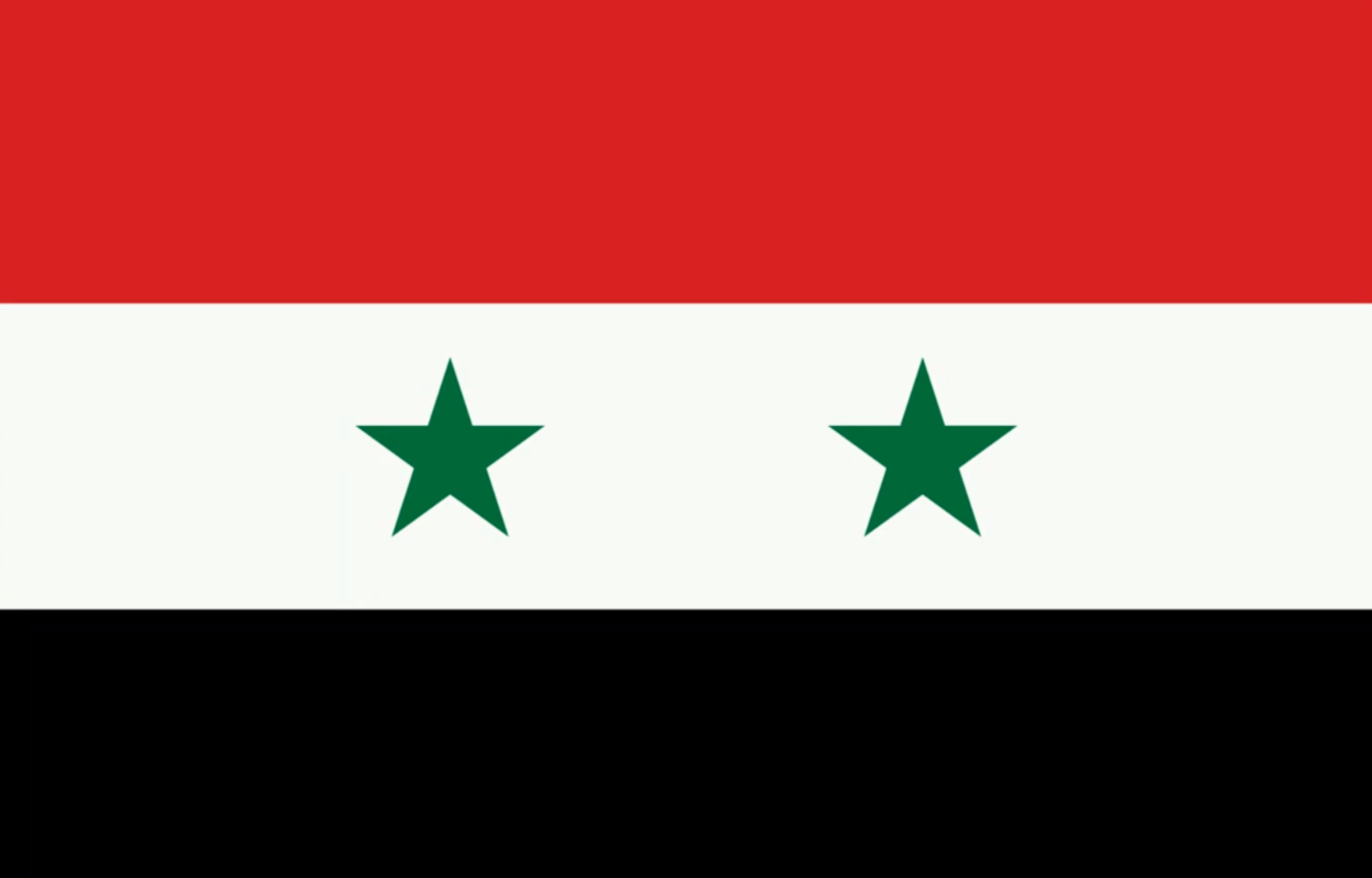 В Сирии с 1 мая введены электронные визы