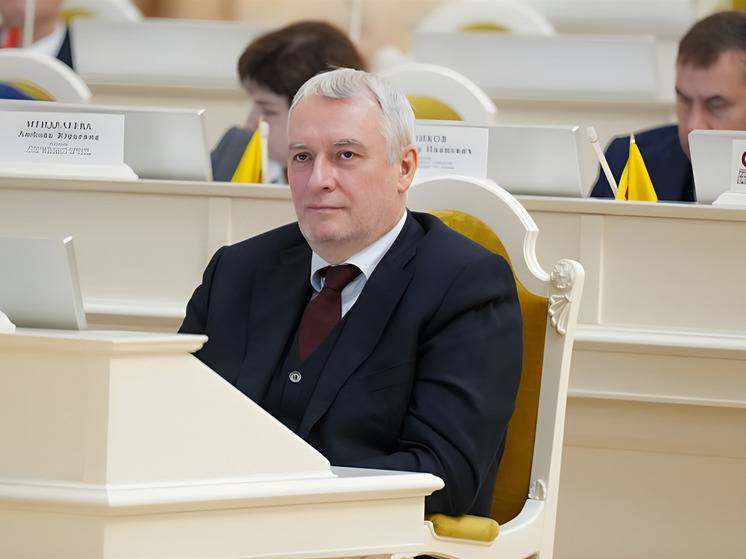 Депутат ЗакСа Яковлев станет кандидатом в губернаторы Петербурга