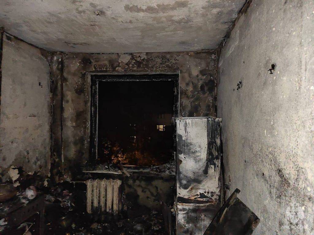 Трое детей и женщина погибли при пожаре в подмосковной деревне