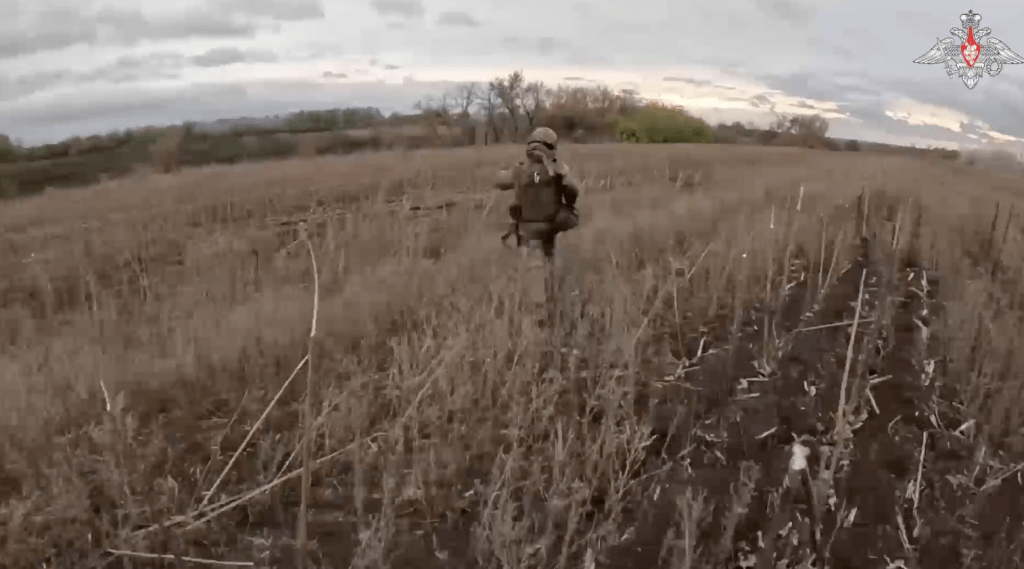 Российские войска освободили Новониколаевку в ДНР