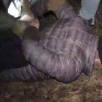 Россиянин планировал подорвать здание в Москве пятикилограммовой бомбой